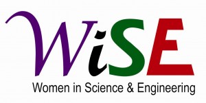 WiSE logo with words